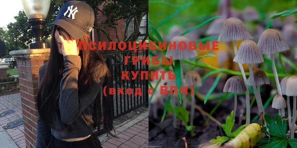 apvp Покачи